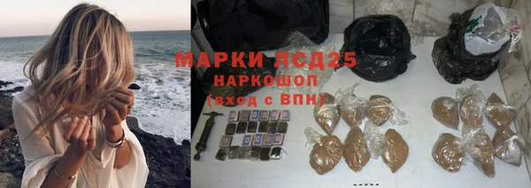 эйфоретик Елизово