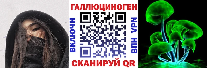 omg рабочий сайт  как найти закладки  Кольчугино  Галлюциногенные грибы Psilocybine cubensis 