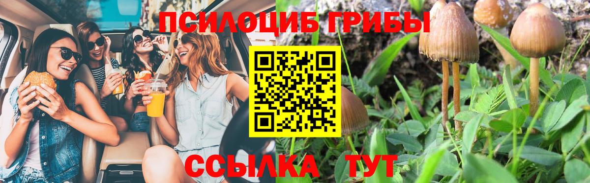 Галлюциногенные грибы мицелий Кольчугино
