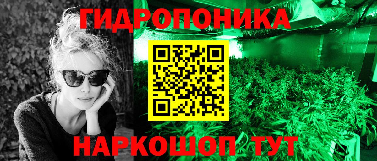 Шишки марихуана SATIVA & INDICA  Бошки марихуана гибрид  Шишки марихуана VHQ  Кольчугино  Конопля ГИДРОПОН  Вход с VPN 